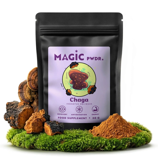 Magic Pwdr chaga svampkosttillskott
