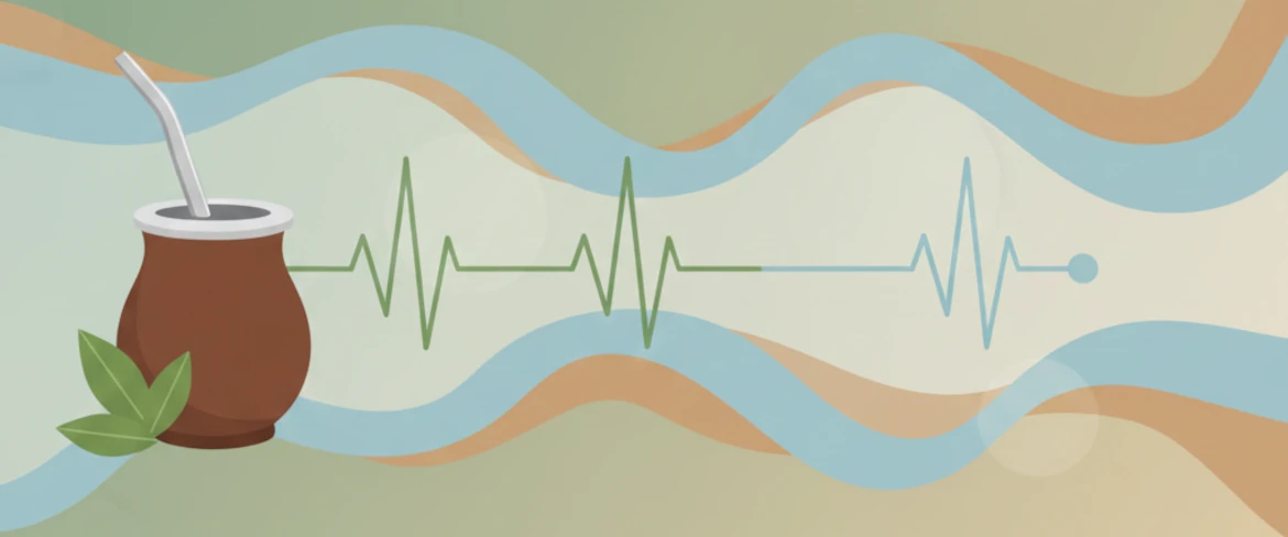 Yerba mate och blodtryck – höjer yerba mate blodtrycket och hur koffein fungerar