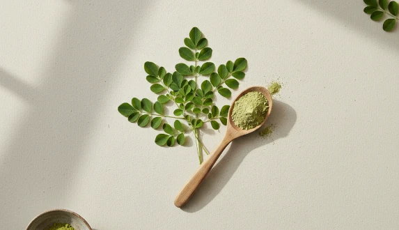 Moringa-blad - egenskaper, sammansättning och hur man använder dem varje dag