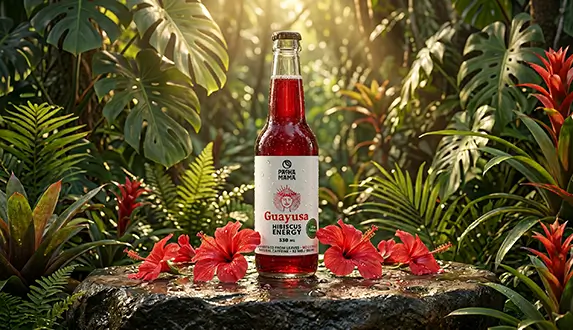 Ett nytt sätt att få mer energi – upptäck Guayusa Pachamama Cold Brew