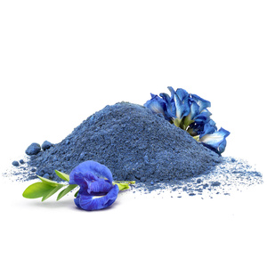 Mary Rose – Blue Matcha – Butterfly Pea Tea (pulver) 100 g