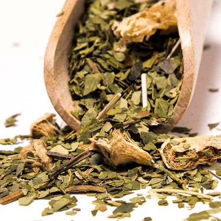 Yerbera – Metallburk + Verde Mate Green Cactus de Juarez 0,5 kg