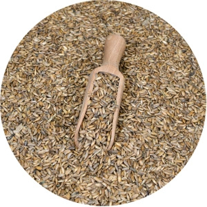 Vivarini – Mjölktistel (frön) 1 kg