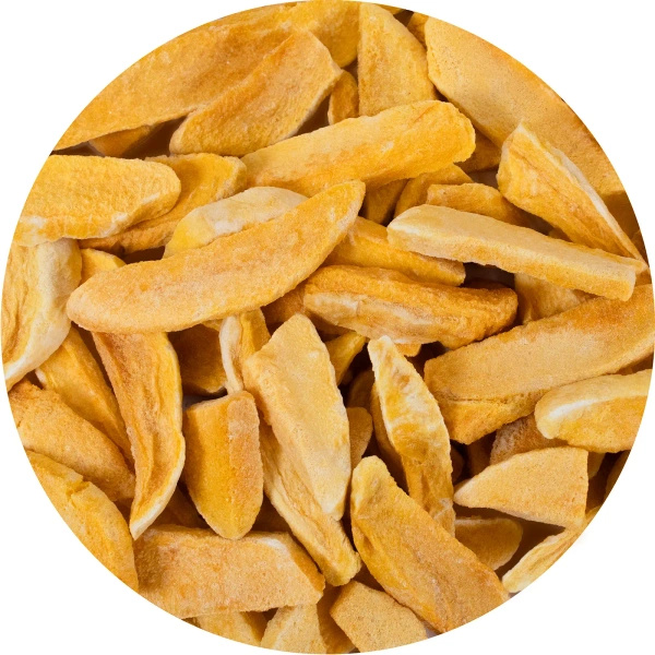 FiloLilo – Frystorkad mango (skivor) 20 g