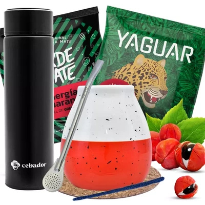 Yerba Mate startpaket TERMOS Kalebass 2x50g