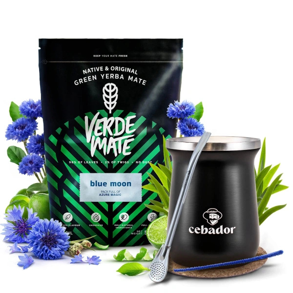 Yerba Mate Set Verde Mate 500g 0,5kg Termisk Matekopp TermoMate PRO