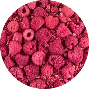 FiloLilo – Frystorkat hallon 20 g