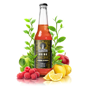 Guarani Drink – Kallbryggt Yerba Mate-avkok – Sabor Citrus 330 ml