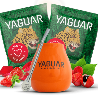 Yerba Mateo-set + Bombilla för att komma igång