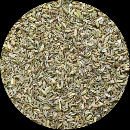 Vivarini – Fänkål (frön) 100 g