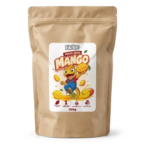 FiloLilo – Frystorkad mango (skivor) 100 g