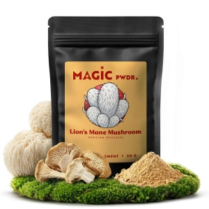 Magic Pwdr – Lion’s Mane – Igelkottstaggsvamp 30 g