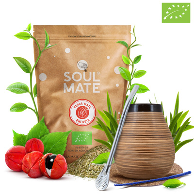 Yerba Mate Yaguar Kokosnöt Startset 500g
