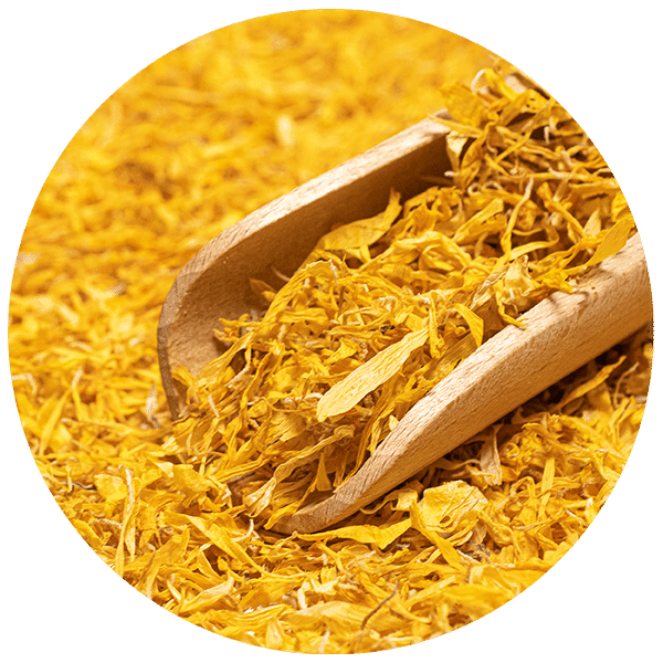 Mary Rose – Ringblomma 100 g – ringblomma (kronblad)