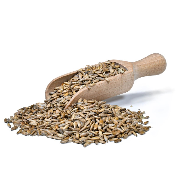 Vivarini – Mjölktistel (frön) 1 kg