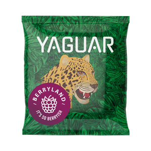 Set Yerba Mate Yaguar 10x50g Kalebass Bombilla