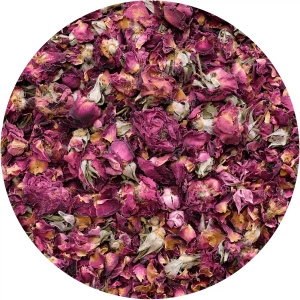 Mary Rose - Röd ros 20 g - rosblomma