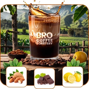 Set Bro Coffee Roastery Brazil Samba + Brazil Guaxupe + Brazil Cerrado 3x1kg (3kg)