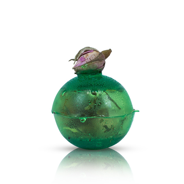 Mary Rose – Sunny Garden temomb (mini)