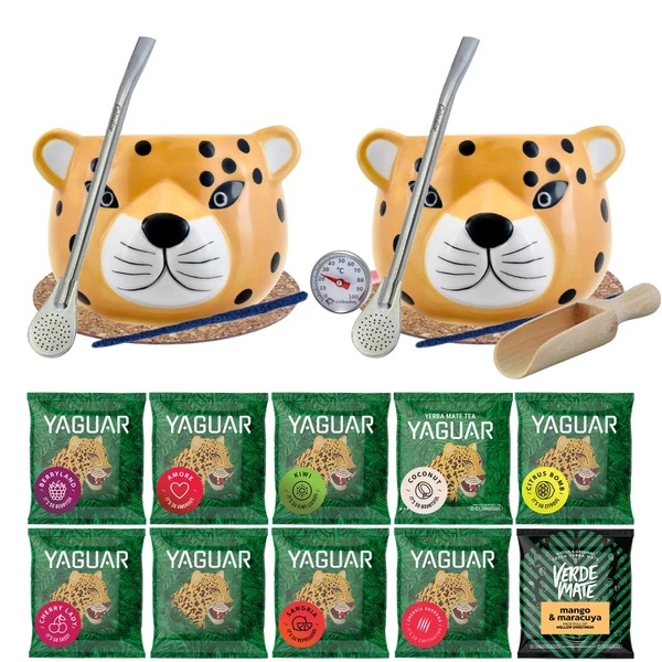 Yerba Mate Set Kopp Bombilla 10x50g