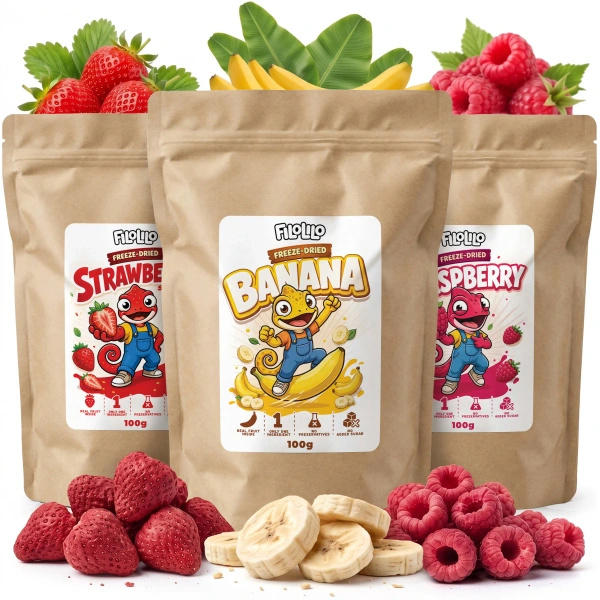 Set med frystorkad frukt FiloLilo 3×100g