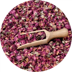 Mary Rose - Röd ros 20 g - rosblomma