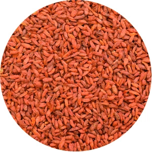 Vivarini - Gojibär (torkat) 1 kg