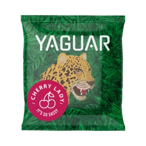 Yerba Mate Starterset: prover Yaguar 10x50g + Kalebass + Bombilla