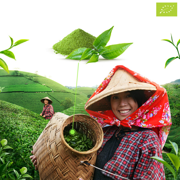 Mary Rose – Japanskt Matcha Tenno grönt te (BIO) Ceremoniellt 50 g