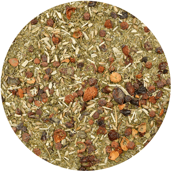 Yerbera - Konservburk + Guarani vild djungel 0,5 kg 