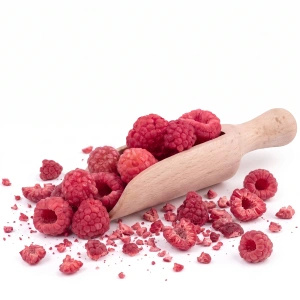 FiloLilo – Frystorkat hallon 100 g