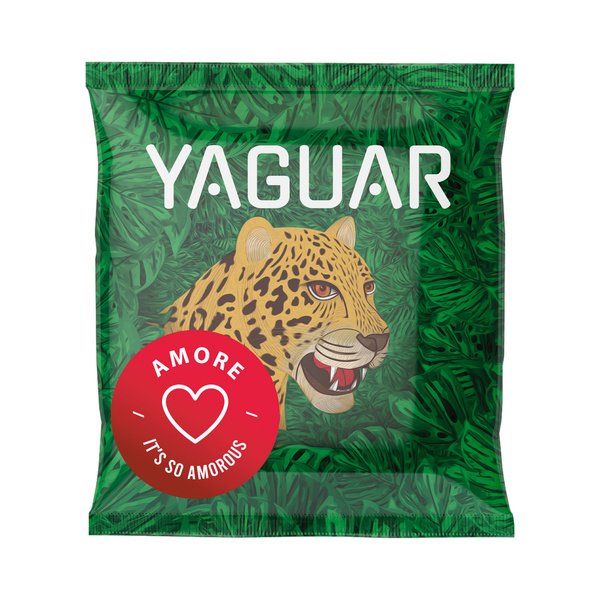 Yerba Mate Starterset 10x50g 500g TermoMate + Bombilla