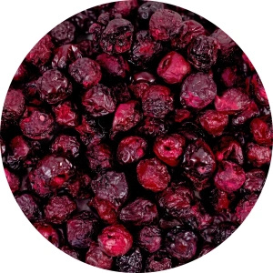 FiloLilo – Frystorkade körsbär (hela, urkärnade) 20 g