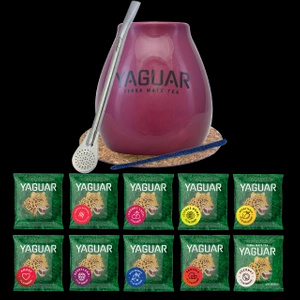 Set Yerba Mate Yaguar 10x50g Kalebass Bombilla