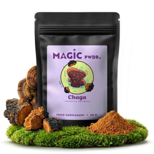 Magic Pwdr – Chaga – Sprängticka 30 g