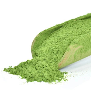 Presentset: japanskt ceremoniellt matcha + matchawan + bambutillbehör