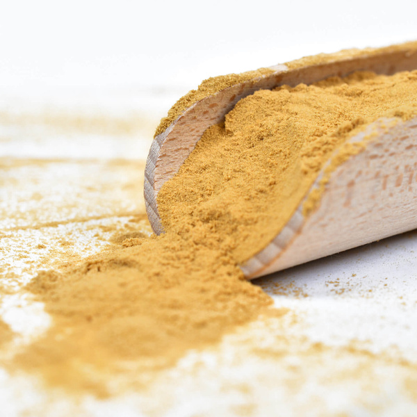 Vivarini – Lion’s Mane – Igeltaggsvamp 50 g