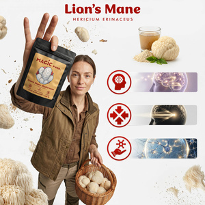 Magic Pwdr – Lion’s Mane – Igelkottstaggsvamp 100 g