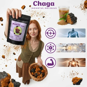 Magic Pwdr – Chaga – Sprängticka 50 g