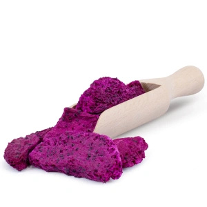 FiloLilo – Frystorkad drakfrukt (skivor) 20 g