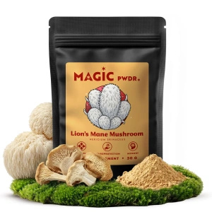 Magic Pwdr – Lion’s Mane – Igelkottstaggsvamp 50 g