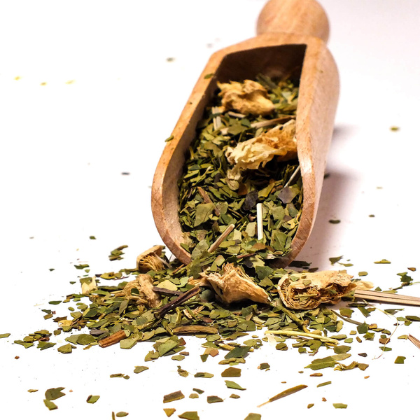 Presentpaket Yerba Mate Verde Mate Cactus 0,5kg