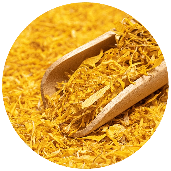 Mary Rose – flores deshidratadas de caléndula