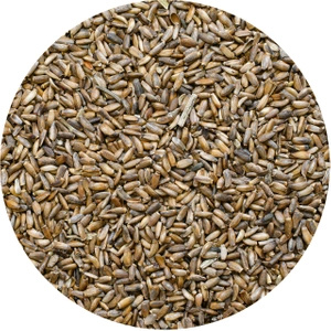 Vivarini – Mjölktistel (frön) 1 kg