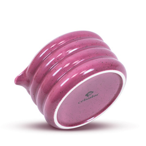 Set för att tillreda Pink Matcha