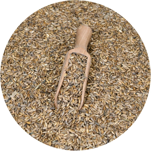 Vivarini – Mjölktistel (frön) 1 kg