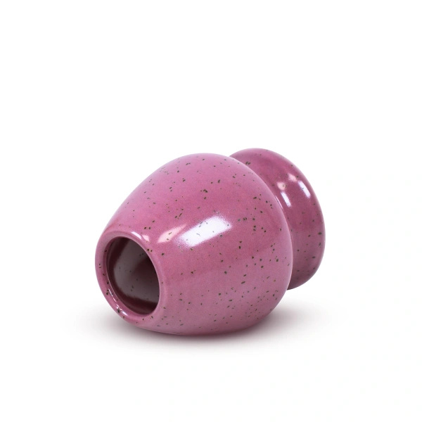 Presentset för att tillreda Pink Matcha
