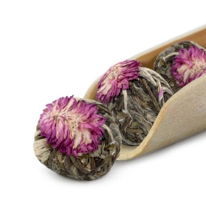 Mary Rose – Blommande te Velvet Pearl (3 st.)