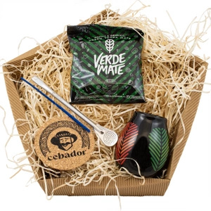 Verde Mate startpaket med yerba mate 50 g