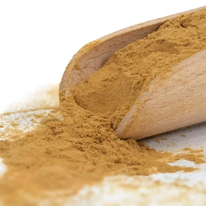 Magic Pwdr – Chaga – Sprängticka 50 g